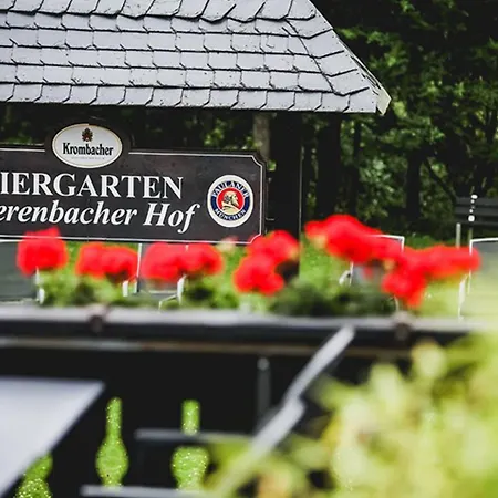 Bierenbacher Hof ホテル ニュームブレヒト